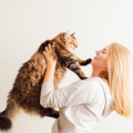 Tips for the First 30 Days of Cat Adoption