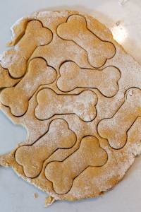 dog biscuit recipes