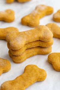dog biscuit recipes
