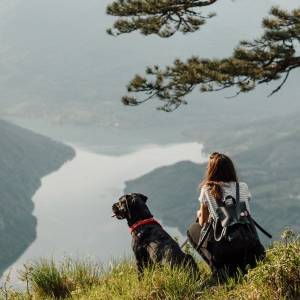 Encouraging Physical Activity and Boosting Mood