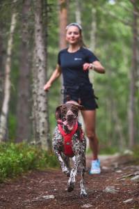 Active Dogs