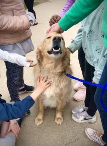 Fostering Social Connections