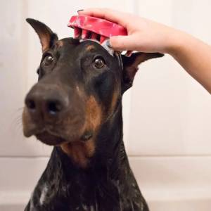 Bathing Needs and Frequency