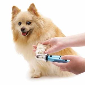 dog nail trimming