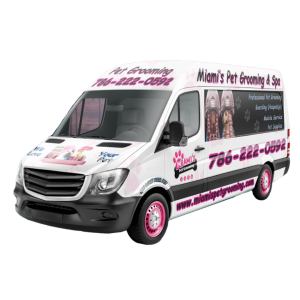 Mobile Grooming Services