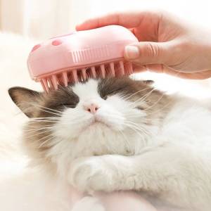 Anxiety in Pets