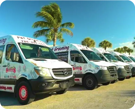 We Take Pride in Our Work!